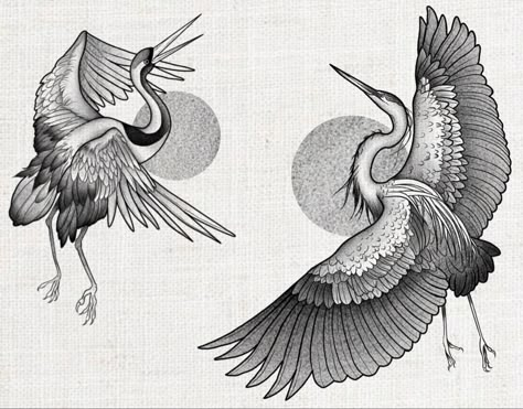 Crane Chest Tattoo, Crane Tattoo Back, Japanese Crane Tattoo Design, Crane Tattoo Design, Blue Heron Tattoo, Stork Tattoo, Japanese Crane Tattoo, Blue Dragon Tattoo, Crane Drawing