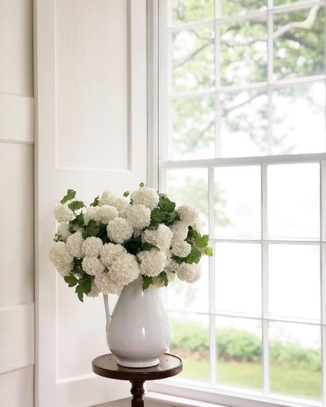 Viburnum Bouquet, Snowball Viburnum, Sunday Kind Of Love, Large Bouquet, Instagram Creative, Spring Garden, In The Rain, The Rain, Hydrangea