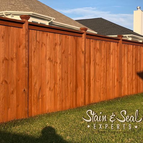 Bringing life back to an old fence has never been easier!  Checkout Stain & Seal Experts “Auburn” Semi Transparent Fence Stain & Sealer Fence Stain Colors, Cedar Fence Stain, Semi Solid Stain, Stain Guide, Grey Fences, Deck Stain Colors, Wood Fence Design, Wood Fences, Solid Stain