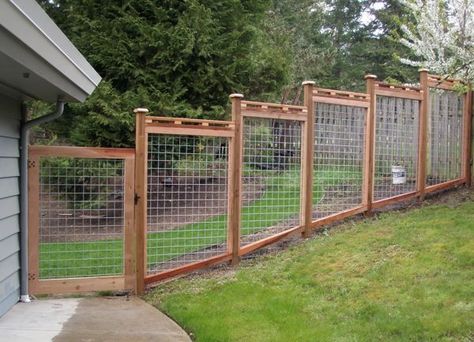 Exactly what is it? The hog cable fence indicates that some items of wire are set up together in going across and the woods are just made use of as the framework. Right here are some of the examples. Hog Wire Fence, Backyard Dog Area, Diy Dog Fence, Wire Fences, Chicken Wire Fence, Welded Wire Fence, Deer Fence, Sloped Yard, Backyard Fence