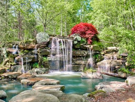 Travelers Rest Sc, Swamp Rabbit Trail, Travelers Rest, Bald Cypress, Pergola Swing, Natural Pond, Paradise Found, Big Leaves, Wildlife Habitat