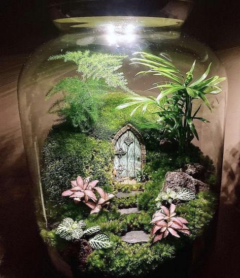 Gumball Terrarium, Geek Terrarium, Closed Terrarium Plants, Terrarium Scene, Fairy Terrarium, Modern Terrarium, Fern Garden, Fairy Garden Containers, Cactus House Plants