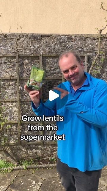 How To Grow Lentils, Growing Lentils, Grow Lentils, Planting Techniques, Micro Greens, Plant Hacks, Veg Garden, Creative Gardening, Without You