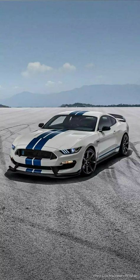 Muscle Cars Mustang, Shelby Gt350r, Mustang Wallpaper, Aesthetic Cool, Ford Mustang Car, Car Organization, Car Chevrolet, Ford Shelby, Car Aesthetic