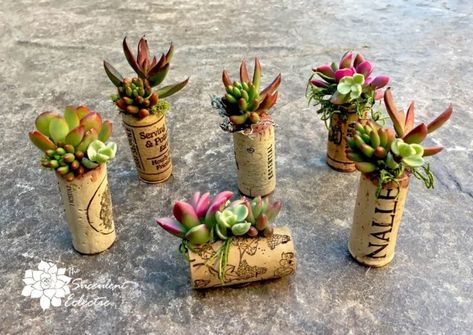 DIY Wine Cork Succulent Magnet Mini Planters! | The Succulent Eclectic Succulent Bouquet Diy, Succulent Magnets, Succulent Planter Ideas, Diy Succulent Planter, Cork Magnet, Cork Planters, Mini Planters, Whimsical Diy, Wine Cork Diy Crafts