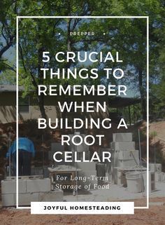 Building A Root Cellar, Root Cellar Plans, Root Cellar Ideas, Root Cellar Storage, Root Cellars, Cellar Ideas, Storm Shelter, Root Cellar, Homesteading Skills