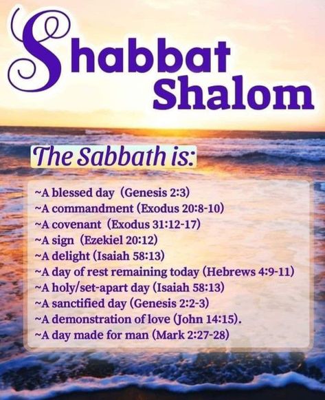 Saturday Sabbath, Jewish Sabbath, Happy Sabbath Quotes, Sabbath Quotes, Shabbat Shalom Images, Simchat Torah, Sabbath Rest, Happy Sabbath, Sabbath Day