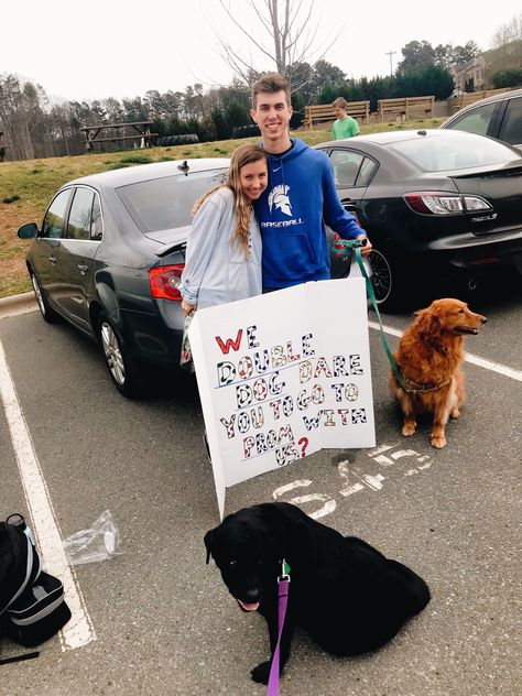 Dog Dance Proposal, Dog Promposal Ideas, Dog Promposal, Reply Ideas, Prom Signs, Prom Posals, Hoco Signs, Sadies Proposal, Cute Promposals