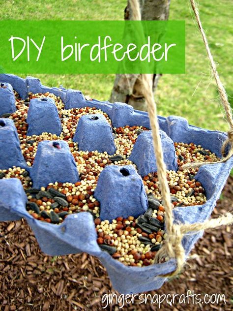 diy bird feeder Bird Feeder Craft, Homemade Bird Feeders, Egg Carton Crafts, Diy Bird Feeder, Ginger Snap, Diy Birds, Egg Carton, Backyard Birds, Camping Ideas