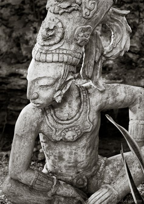 Estatua de un antiguo guerrero maya en un entorno de selva en la región de la Riviera Maya de México . © David A. Kamm Mayan Warrior, Ancient Mexico, Maya Civilization, Maya Art, Mayan Art, Ancient Maya, Mayan Culture, Ancient Mayan, Aztec Art