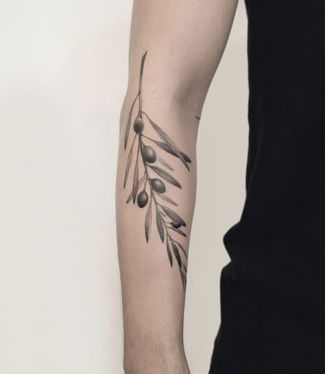 Branch And Leaf Tattoo, Olive Branch Tattoo Forearm, Men Floral Tattoo, Olive Branch Tattoo Design, Olive Branch Tattoo Arm Wrap, Rosemary Tattoo, Olive Tattoo, Olive Branch Tattoo, Left Arm Tattoos