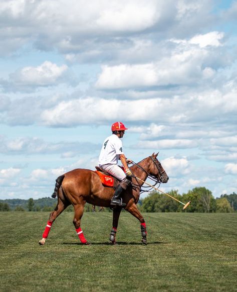 Polo Ponies, Polo Field, Polo Horse, Polo Team, Sport Games, Black Horses, Pony Club, Polo Pony, Three Brothers