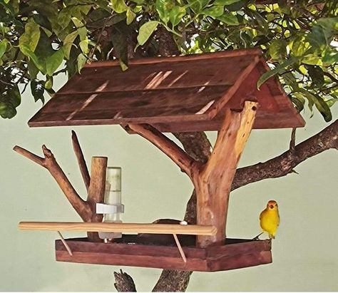 Attractive garden ladder ideas | Gardening | Garden decor ideas Big Bird Feeder, Garden Ladder Ideas, Rustic Bird Feeders, Ladder Ideas, Bird House Plans Free, Garden Ladder, Wood Bird Feeder, Bird Feeder Plans, Wooden Bird Feeders