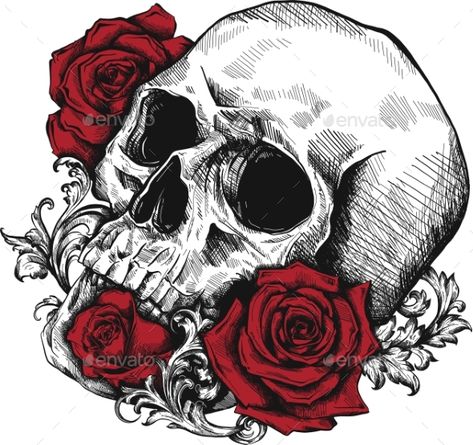 Human Skull with Roses on White Background #Skull, #Human, #Roses, #Background Skull And Rose Drawing, Skull Human, Roses Background, Skull With Roses, Skull Rose Tattoos, Halloween Skulls, Skull And Roses, Skull Art Drawing, Skulls Drawing