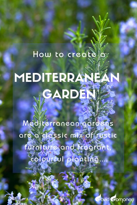 Mediterranean gardens are a classic mix of rustic furniture and fragrant, colourful planting, and they work surprisingly well in our British climate. #garden #gardens #gardening #plants #plant #winter #colour #nature #diy #doityourself #ideas #craft #outdoors #flowerborders #flowerborder #mediterranean #gardendesign #design Mediterranean Garden Ideas Landscaping, Meditterean Garden, Mediterranean Shade Garden, Mediterranean Garden Plants, Medditerean Garden, Mediterranean Gardens, Uk Mediterranean Garden, Mediterranean Garden Ideas, Mediterranean Planting Scheme