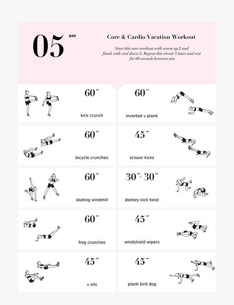 Core & Cardio Vacation Workout | Traveling Edition Frog Crunches, V Sits, Vacation Workout, Dog Equipment, Scissor Kicks, Ab Workout Men, Calorie Calculator, Bicycle Crunches, Bird Dog