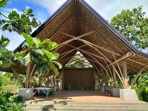 Bamboo Workshop, Eco Houses, Bamboo Roof, Architecture Design Presentation, Bamboo Building, Tree Structure, Farm Shed, Bamboo Structure, Bamboo Architecture