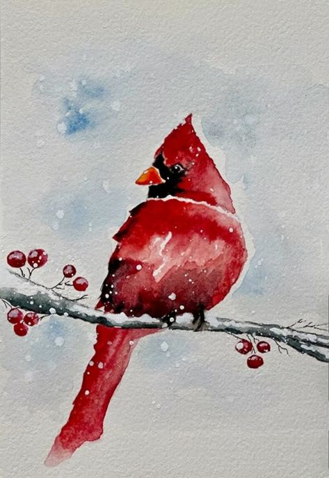 How To Paint A Cardinal In Watercolor, Cardinal Watercolor Painting Easy, Cardinal Watercolor Painting, Red Bird Watercolor, Watercolor Red Cardinal, Cardinal Drawing, Anime Drawing Sketches, Watercolor Painting Easy, Cardinal Watercolor