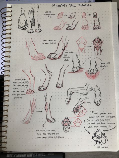 Paw Tutorial, Anatomy Tips, Paw Drawing, Canine Drawing, Cat Drawing Tutorial, Cats Art Drawing, Dog Anatomy, Arte Van Gogh, Canine Art