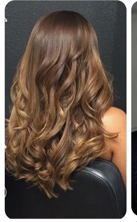 Rambut Brunette, Honey Brown Hair, Diy Hair Color, Brown Hair Inspo, Brunette Hair With Highlights, Brown Hair Balayage, Front Hair Styles, Hair Color Pink, Brown Blonde Hair