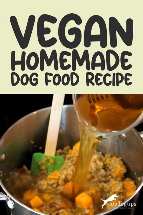 Vegan Homemade Dog Food Recipe Food Recipe Healthy, Vegetarian Dog Food Recipe, Vegan Dog Food, Dog Food Recipe, Vegan Dog, Healthy Dog Food Recipes, Puppy Food, Recipe Healthy, Dog Recipes