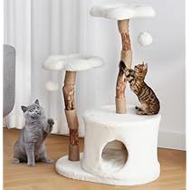 Wooden Cat Tree, Cat Scratching Tree, Modern Cat Tree, Natural Branches, Cat Tree Condo, Cat Hiding, Cat Trees, Luxury Cat, Industrial Wood