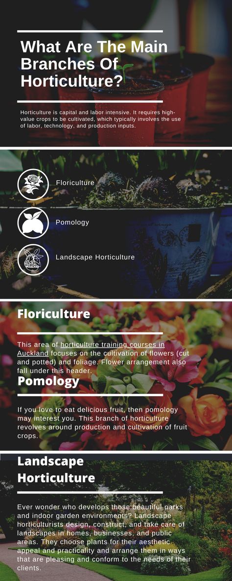 The horticulture industry can be divided into three areas: Floriculture, Pomology, and Landscape Horticulture. Pomology is the planting, harvesting, storing, processing, and marketing of fruit and nut crop. Floriculture is the planting, harvesting, storing, processing and marketing of flower crop. Visit us now for more information. Horticulture Activities, Horticulture Education, Biology Facts, Social Development, Environmental Health, Ffa, Self Assessment, Education And Training, Christchurch