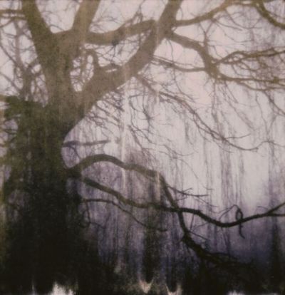 Nona Limmen, Mazzy Star, Southern Gothic, Season Of The Witch, Pics Art, Pretty Pictures, The Winter, Witch, Art Inspiration