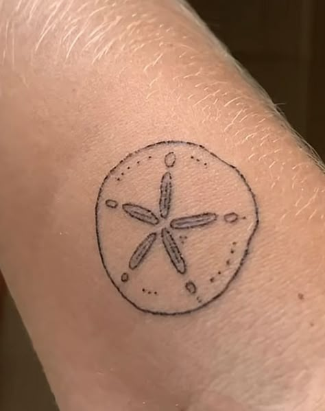 San Dollar Tattoo, Creative Tattoos For Women, Sand Dollar Tattoo, Fineline Tattoo Ideas, Dollar Tattoo, Fine Line Tattoo Ideas, Shell Tattoo, Starfish Tattoo, Hawaii Tattoos