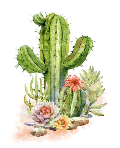 Cactus Flower Painting, Cactus Paintings, Christmas Cactus Plant, Cactus Drawing, Flower Pot Design, Watercolor Succulents, Succulent Art, Cactus Painting, Flowery Wallpaper