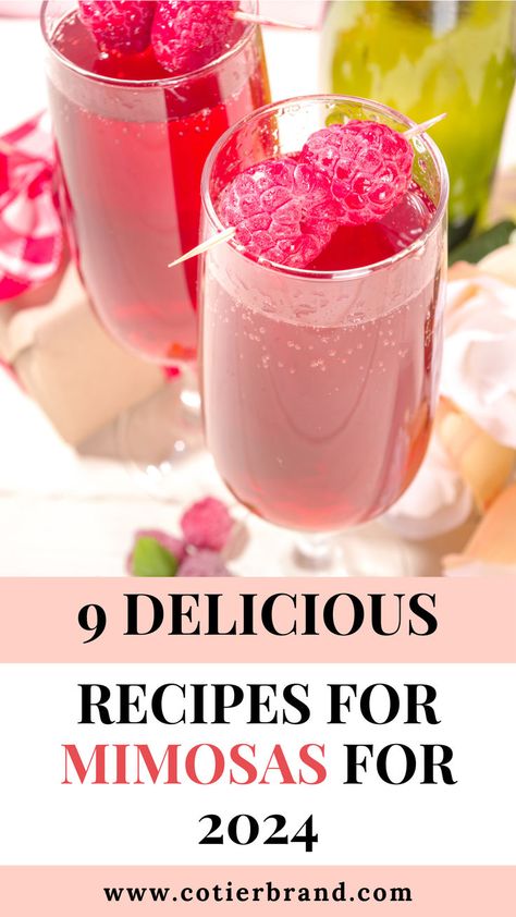 Cocktail party recipes that start conversations. These unique mimosa ideas are sure to be a talking point at your next gathering. Mimosa Welcome Drink, Pink Mimosa Bar Ideas, Sweet Mimosa Recipe, Mimosa Recipe Ideas, Unique Mimosa Recipe, Big Batch Mimosa Recipe, Fun Mimosa Recipe, Mimosa Juice Flavors, Mimosa Flavor Ideas