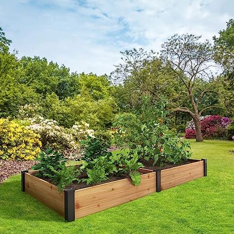 How beautiful is this garden bed. Take your garden up a notch with cedar garden beds! Elevated Vegetable Garden, Wood Raised Garden Bed, Wooden Raised Garden Bed, Cedar Raised Garden Beds, Raised Garden Planters, Cedar Garden, Dahlias Garden, Vegetable Gardens, Square Foot Gardening