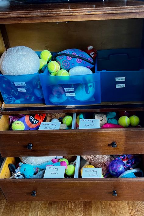 This dog toy library was created using repurposed storage items. A neighbor offered The antique cabinet for disposal, and the plastic bins came from toy storage the children no longer needed. The library keeps the toys organized and makes it easy to rotate them daily. Rotating the toys keeps them attractive to the dog, saves money, and increases happiness for the whole family! Repurposed Storage, Dog Supplies Organization, Toy Library, Canine Enrichment, Stairs Storage, Storage Closet, Understairs Storage, The Toys, Plastic Bins