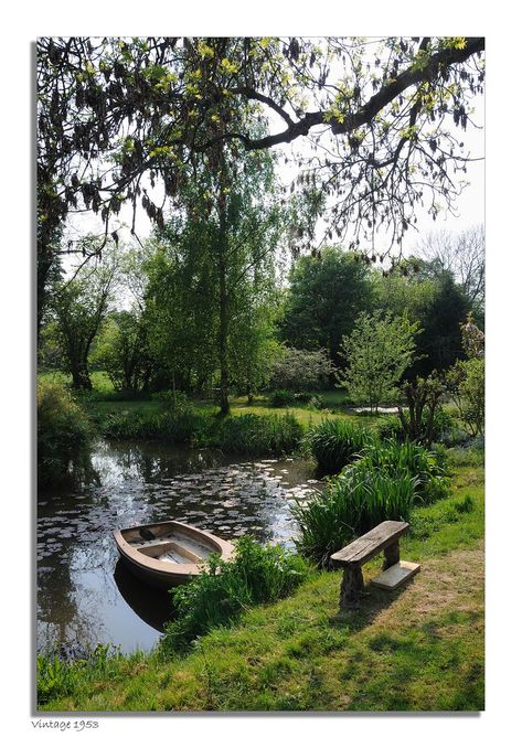 Farm Pond, Natural Pond, Pond Landscaping, Pond Life, The Secret Garden, Garden Pond, Decor Minimalist, Garden Cottage, Dream Garden