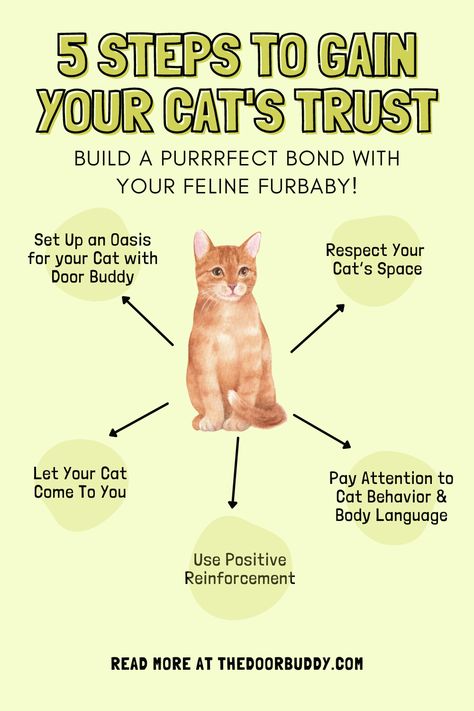 How to gain your cat's trust Reasons To Get A Cat, How To Get Your Cat To Like You, First Time Cat Owner Checklist, New Cat Owner Tips, Cat Owner Hacks, Cat Owner Tips, Kitty Gang, Cat Behaviour, First Time Cat Owner