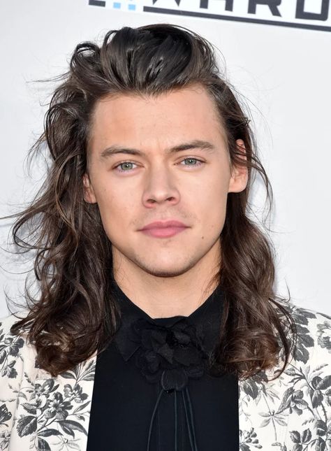 Harry Styles Eyes, Harry Styles Hair, Harry Styles Long Hair, Harry Styles 2015, Prince Hair, Subway Sandwich, Gambar One Direction, Ryan Guzman, Harry Styles Cute