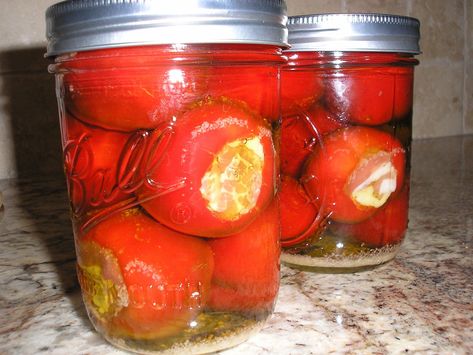 Cherry Pepper Recipes, Cherry Bomb Pepper, Antipasto Recipes, Pepper Poppers, Hot Pepper Recipes, Cherry Peppers, Pickle Vodka, Pickled Cherries, Poppers Recipe