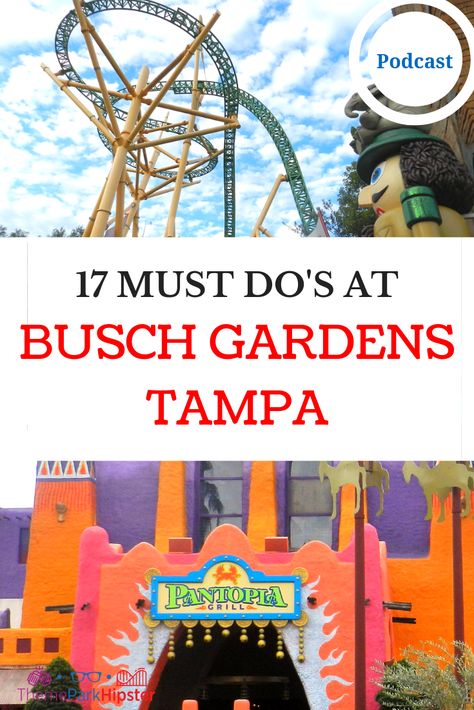 MUST DO AT BUSCH GARDENS TAMPA Yellow Cheetah Hunt Roller Coaster Busch Gardens Tampa Pictures, Bush Garden Tampa, Busch Gardens Tampa Outfit, Bush Gardens Outfit, Bush Gardens Tampa, Theme Park Planning, Tampa Restaurants, Busch Gardens Tampa Bay, Secret Squirrel