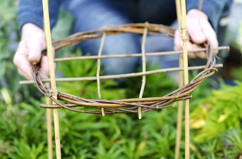 Find out how to create homemade plant supports using willow and bamboo, with the help of our easy step by step guide, from BBC Gardeners' World Magazine. Willow Crafts Ideas, Willow Plant, Garden Vines, Have Inspiration, Plant Supports, Diy Garden Projects, Garden Trellis, Diy Plants, Garden Structures