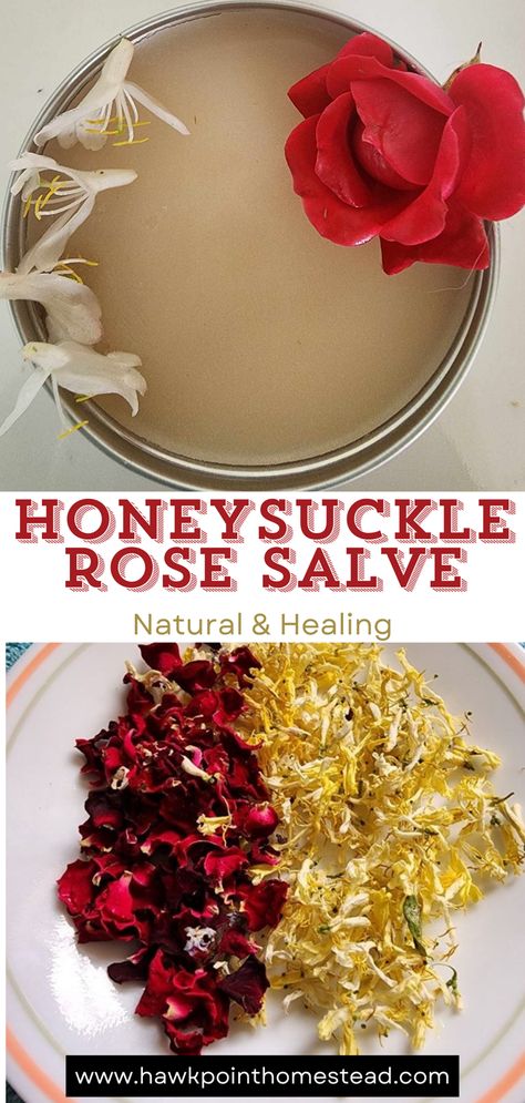 This honeysuckle salve recipe is easy to make and has many healing benefits. A salve is a healing ointment, and usually a combination of oil and beeswax. The oil and beeswax are nourishing for the skin, you can use a variety of oils. The wonderful part is that you can infuse oil with different herbs to make salve with different properties. This salve made with both honeysuckle and rose petals combines the properties of both flowers and can be used to soothe bug bites and irritated skin. Rose Salve Diy, Honeysuckle Tincture, Cayenne Salve, Honeysuckle And Rose, Herbal Salve Recipes, Rose Salve, Arnica Salve, Healing Salve Recipe, Homemade Salve