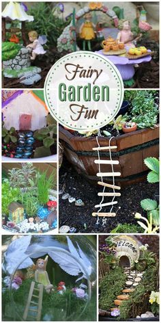 Kids Fairy Garden, Diy Fairy Garden, Indoor Fairy Gardens, Fairy Garden Ideas, Fantasy Garden, Fairy Garden Designs, Fairy Garden Crafts, Garden Fun, Faeries Gardens