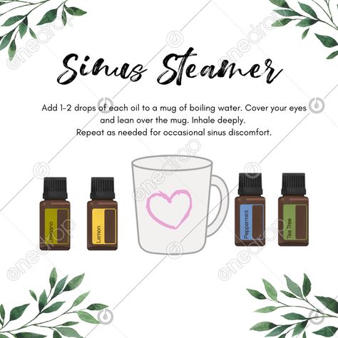 Essential Oils Sinus, Remedy For Sinus Congestion, Melaleuca Essential Oil, Sinus Remedies, Home Remedies For Sinus, Sinus Allergies, Oils For Sinus, Essential Oil Combinations, Sinus Relief