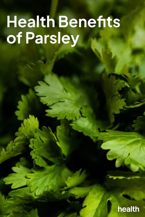 Health Benefits of Parsley Health Benefits Of Parsley, Parsley Benefits Health, Benefits Of Parsley, Parsley Benefits, Vitamin K, Overall Health, Bone Health, Parsley, Health Benefits