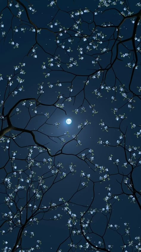 Cherry Blossom Night Wallpaper, Starry Sky Photography, Night Sky Photos Iphone, Moon And Flowers Aesthetic, Moon And Flowers Wallpaper, Moon Landscape Wallpaper, Mountain Wallpaper Iphone, Night Wallpaper Iphone, Lockscreen Nature