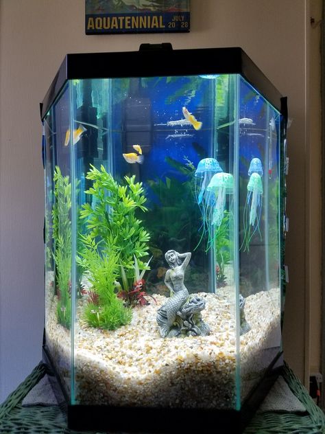 #week2 new tank by Elsa 20 gallons, hexagon from Petsmart Hexagon Aquarium Ideas, Hexagon Fish Tank Ideas, Spongebob Aquarium, Hexagon Fish Tank, Hexagon Aquarium, Betta Tanks, Fish Tank Ideas, Fish Tank Themes, Tank Wallpaper