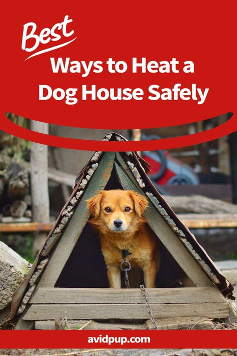 Dog Shelter Ideas Outdoor Diy, Winter Dog House Diy, Insulating Dog House Winter, Heated Dog House Diy, Heat Lamp For Dog House, Heated Dog House Outdoor, Diy Outside Dog House, Heated Dog House, Winter Dog House