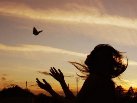 Butterfly fly away. All That Remains, Silhouette Photography, Lessons Learned In Life, Butterflies Flying, Everything Happens For A Reason, Set Me Free, Just In Case, Photography Inspiration, Human Silhouette