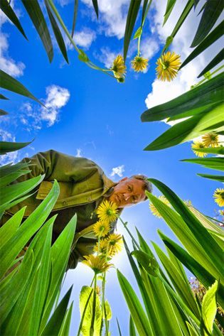 Finding fresh angles to shoot from in photography Photography Angles, Wide Angle Photography, 360 Photography, Perspective Photography, Composition Photography, Photography 101, Foto Poses, Photography Lessons, Fun Wedding Photography