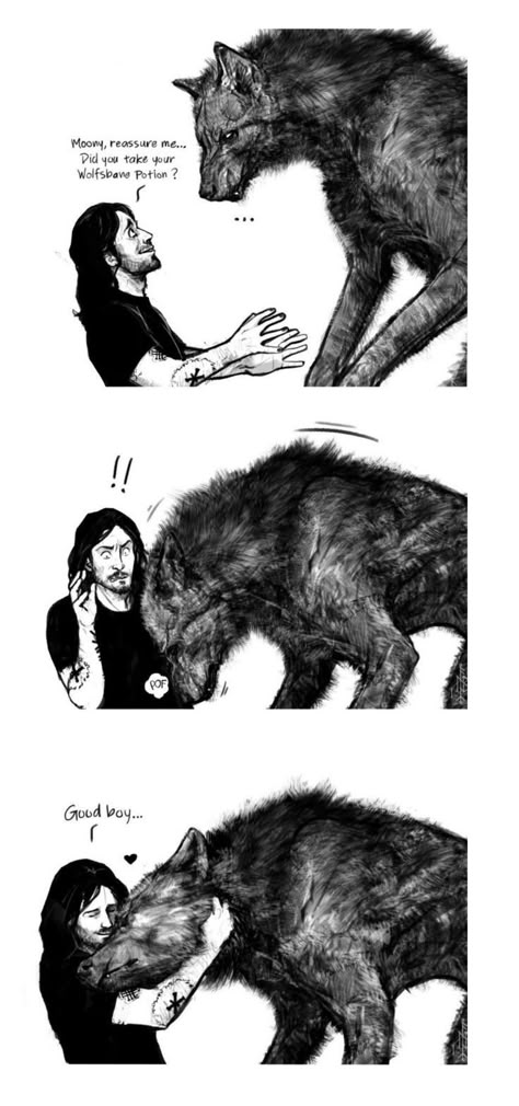 Wolfstar As Parents Fanart, Harry Potter And Sirius Black Fan Art, Wolf Star Fan Art, Dadfoot And Moomy, Sirius Black Young Fanart, Padfoot X Moony Fanart, Moonstar Fanart, Padfoot Fanart, Sirius X Remus Fan Art