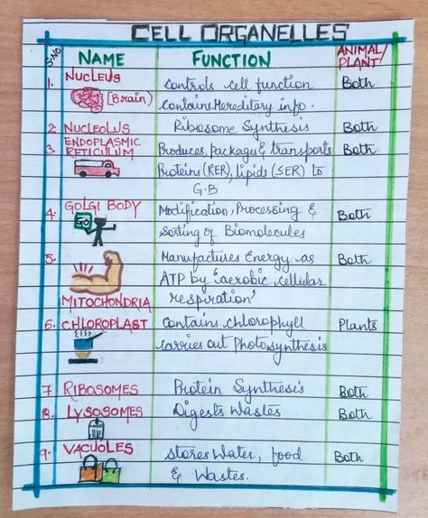 Class 11 Biology Notes Cell The Unit Of Life, Cell The Unit Of Life Short Notes, Fundamental Unit Of Life Notes Class 9, Cell The Unit Of Life Notes For Neet, Cytology Notes, Cell The Unit Of Life Notes Class 11, Cell The Unit Of Life Notes, Cell Organelles Notes, Organelles Notes